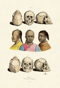 Caucásicos, 1833-39 de French School